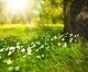 Sluneční záření nás chrání – nejen díky vitaminu D